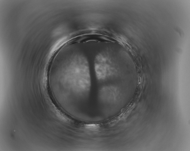 X0000114410053200910161215