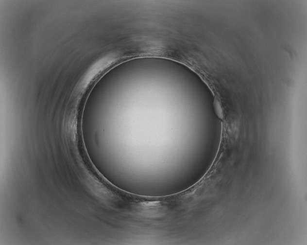 X0000114410054200910161215