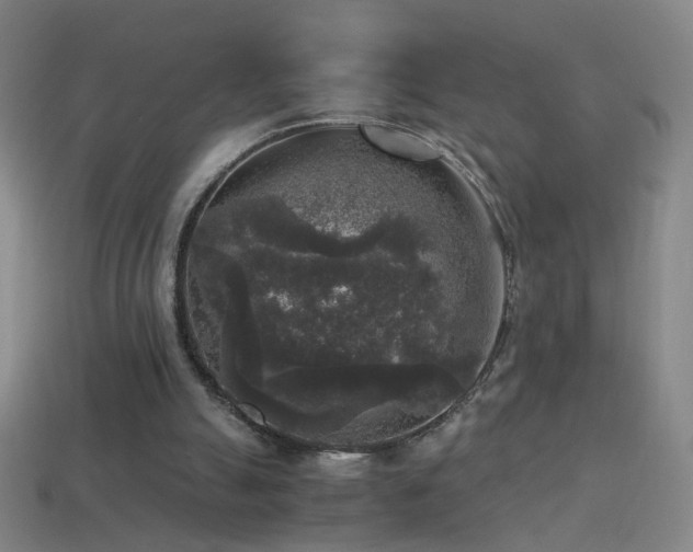 X0000114410055200910161215