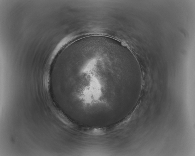 X0000114410056200910161215