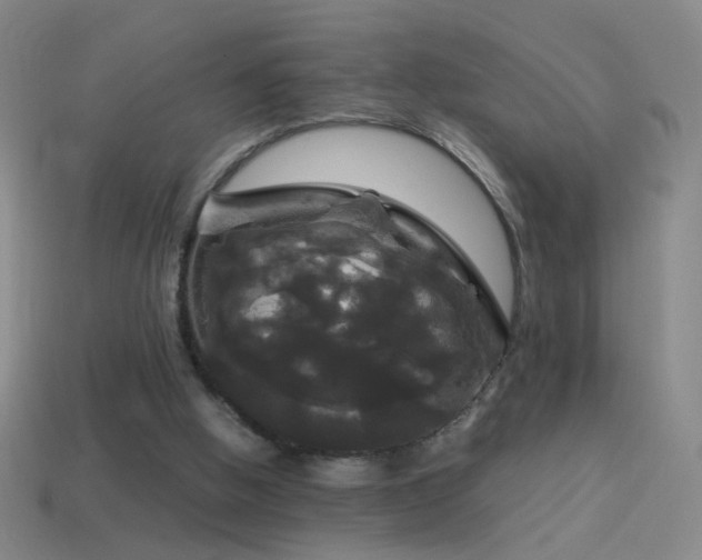 X0000114410058200910161215