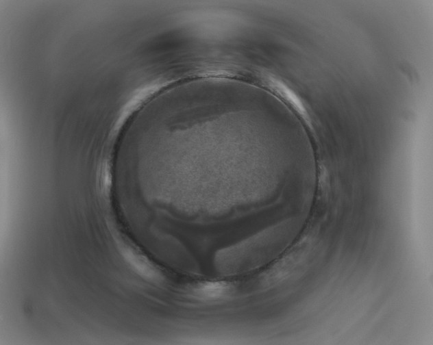 X0000114410059200910161215