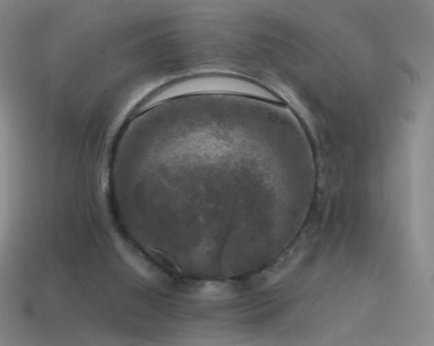 X0000114410060200910161215