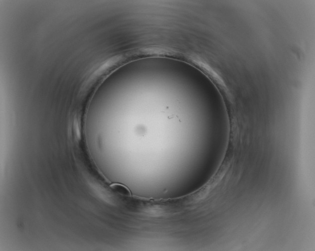 X0000114410062200910161215