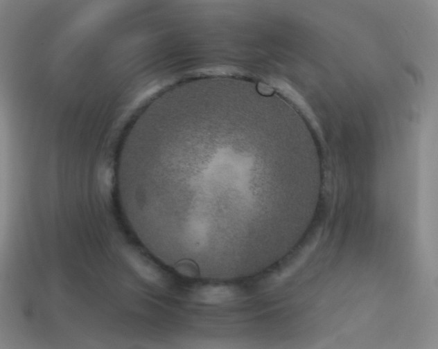 X0000114410063200910161215