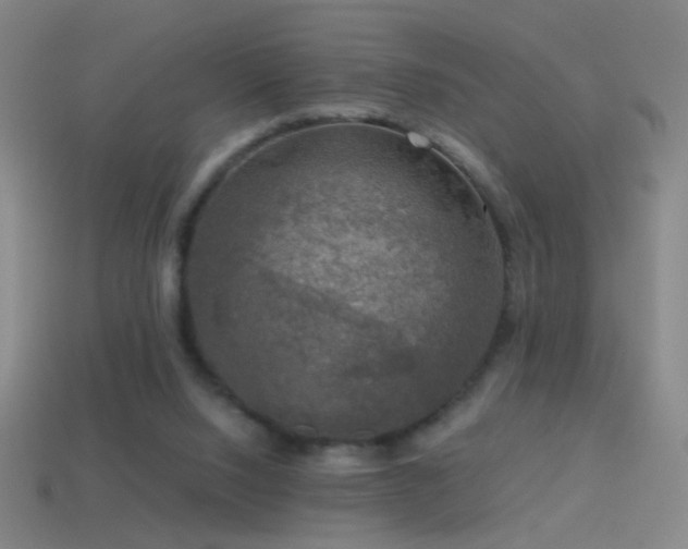 X0000114410064200910161215