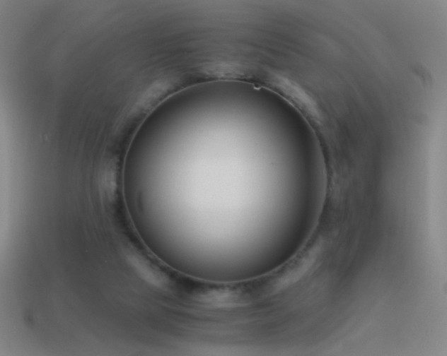X0000114410065200910161215