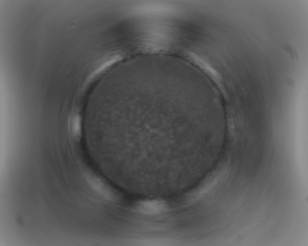 X0000114410067200910161215