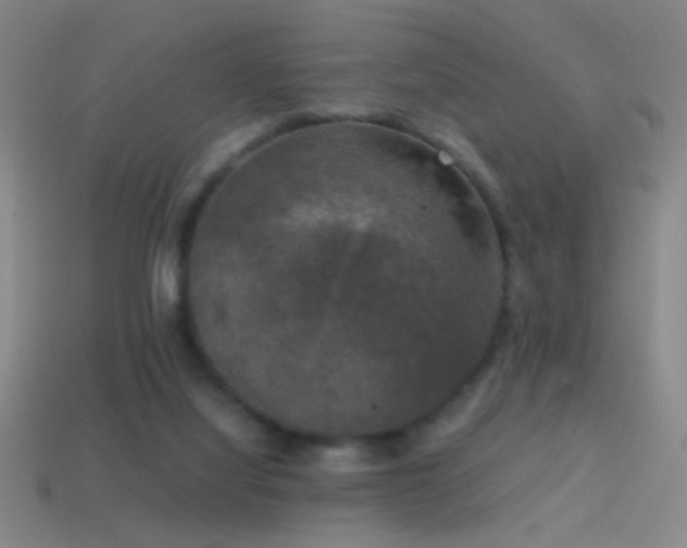 X0000114410068200910161215