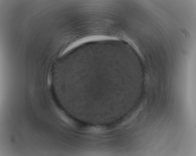 X0000114410069200910161215