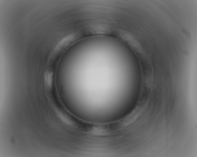 X0000114410070200910161215