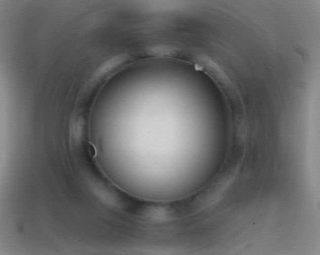X0000114410071200910161215