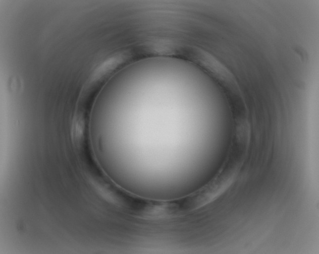 X0000114410072200910161215
