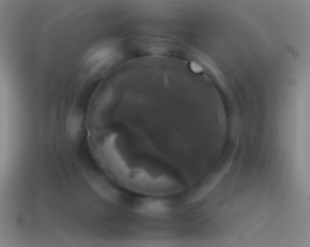 X0000114410073200910161215