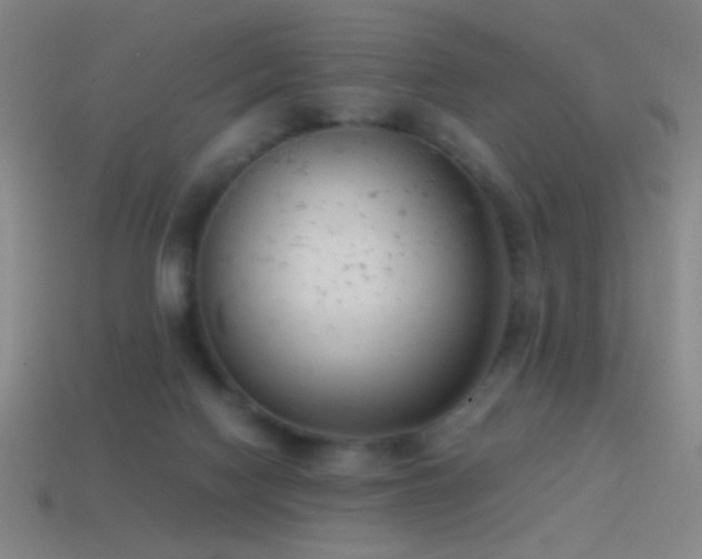 X0000114410074200910161215