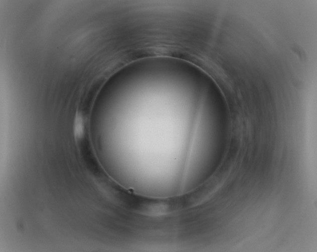 X0000114410075200910161215