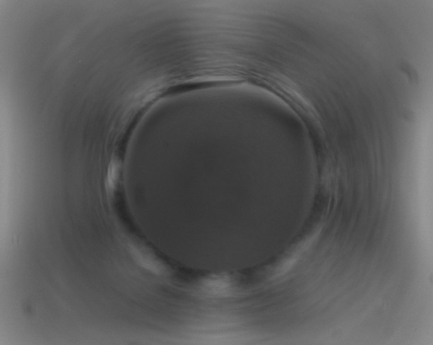 X0000114410076200910161215