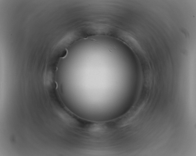X0000114410077200910161215