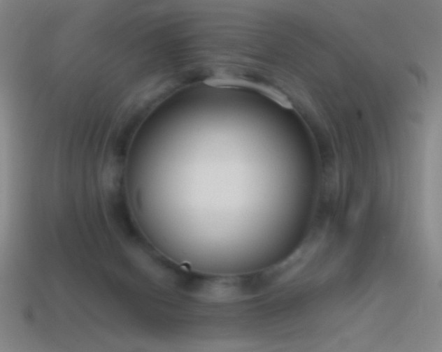 X0000114410078200910161215