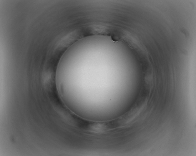 X0000114410079200910161215