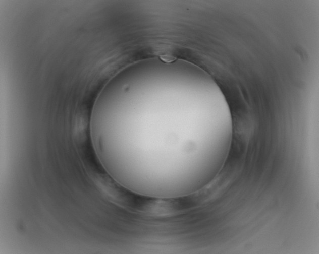 X0000114410082200910161215