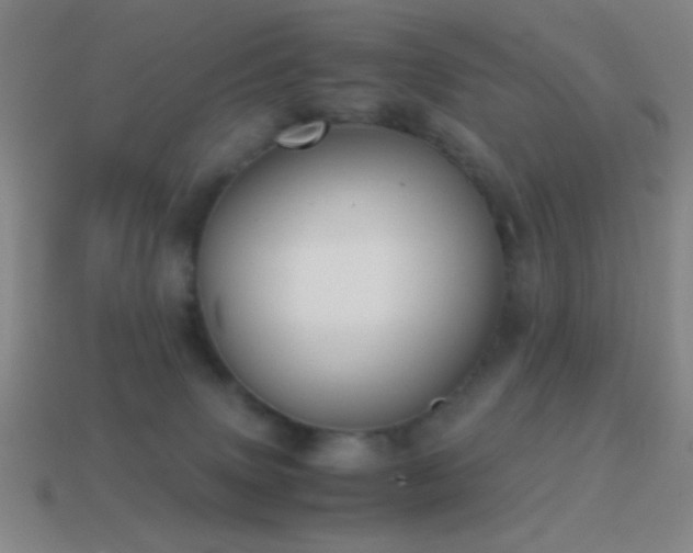 X0000114410083200910161216