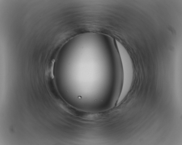 X0000114410084200910161216