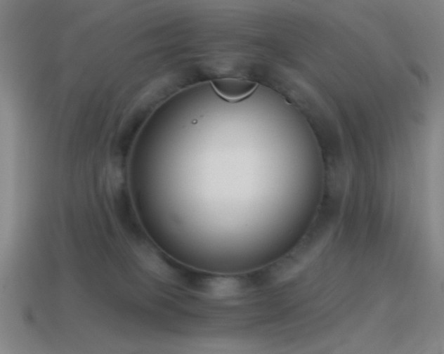 X0000114410085200910161216