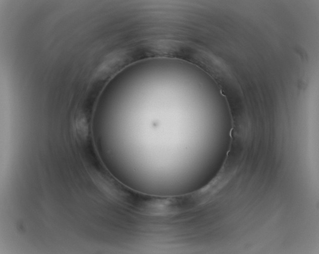 X0000114410086200910161216