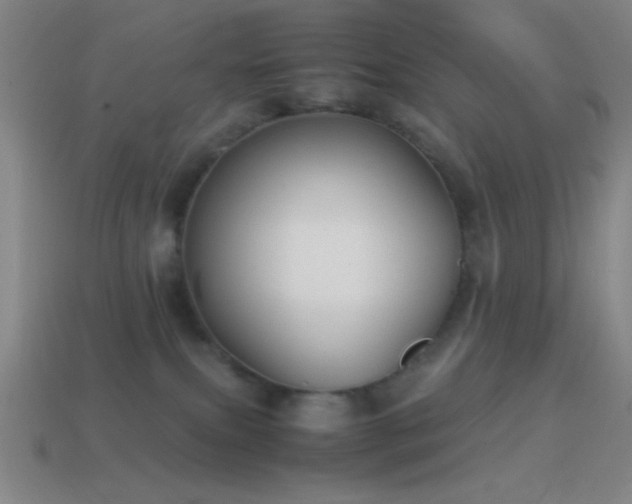 X0000114410087200910161216