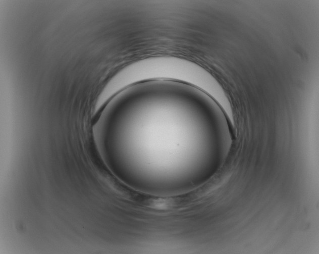X0000114410088200910161216