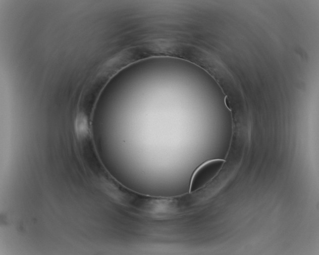 X0000114410089200910161216