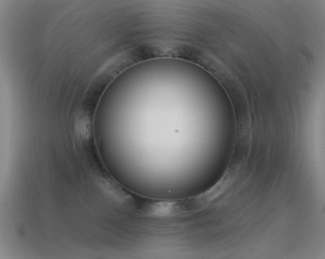 X0000114410090200910161216