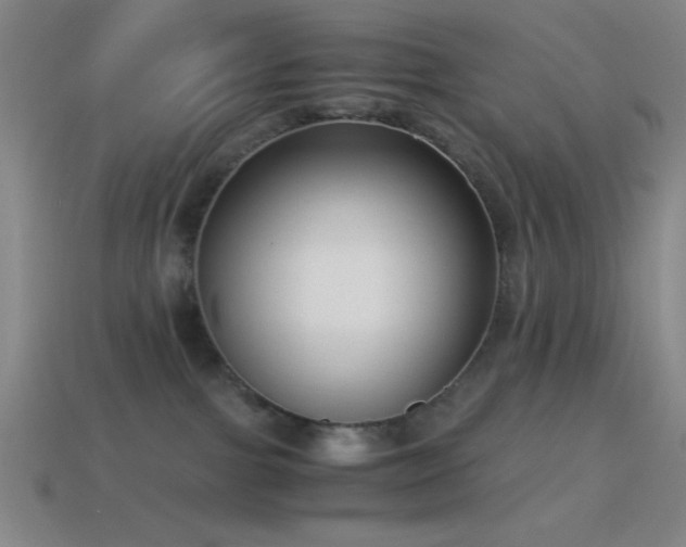 X0000114410091200910161216
