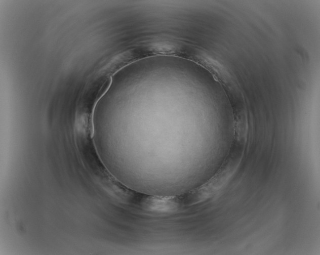 X0000114410093200910161216