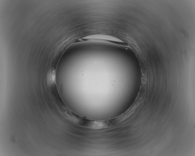 X0000114410095200910161216
