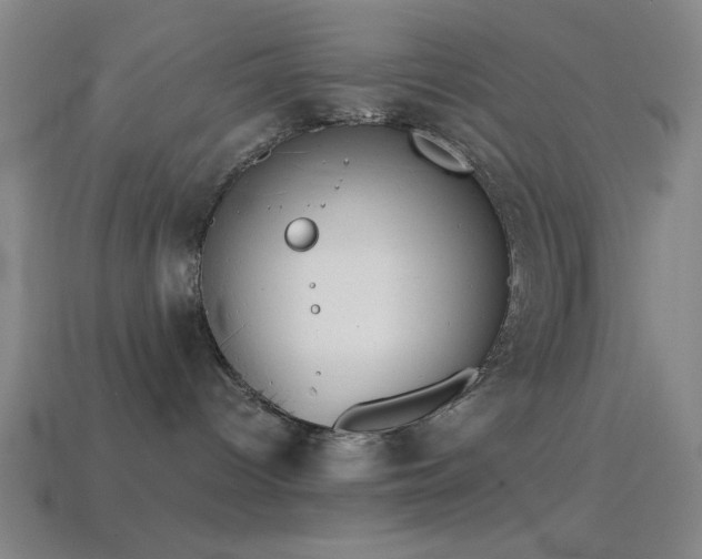 X0000114410096200910161216