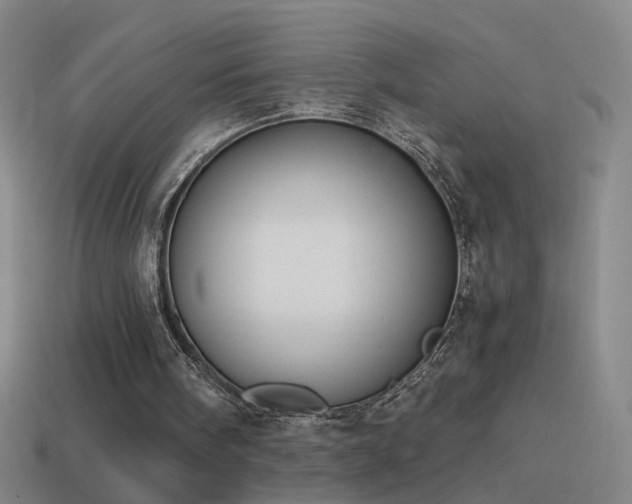 X0000114410098200910161215