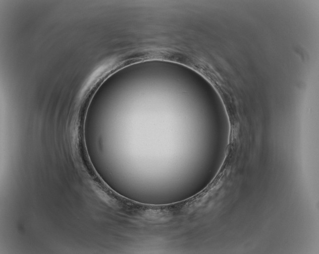 X0000114410101200910161215