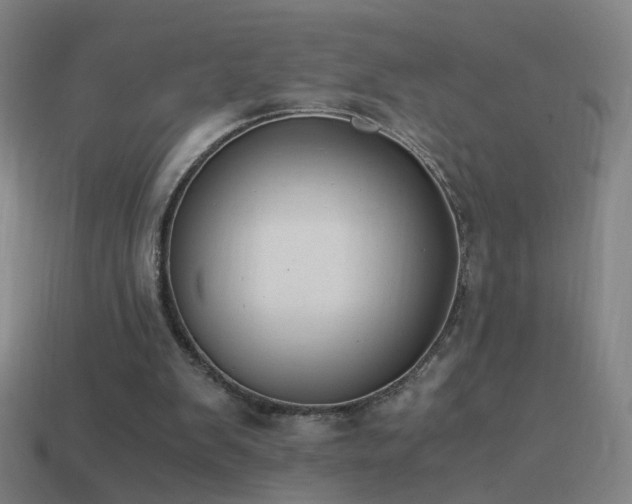 X0000114410103200910161215