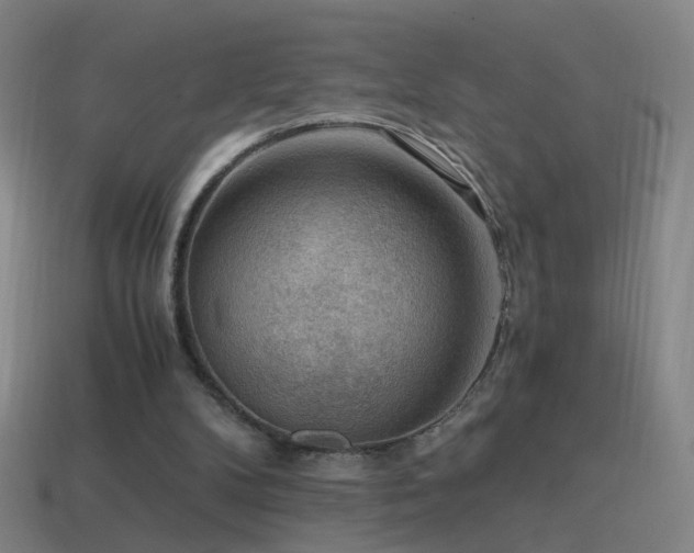 X0000114410104200910161215