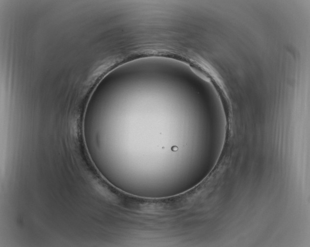 X0000114410105200910161215