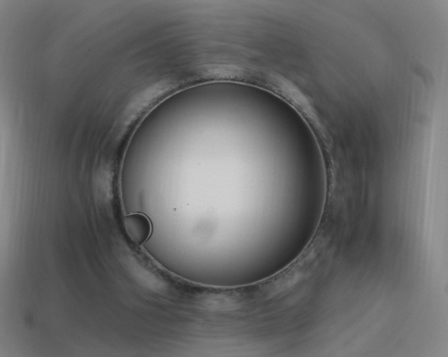 X0000114410106200910161215