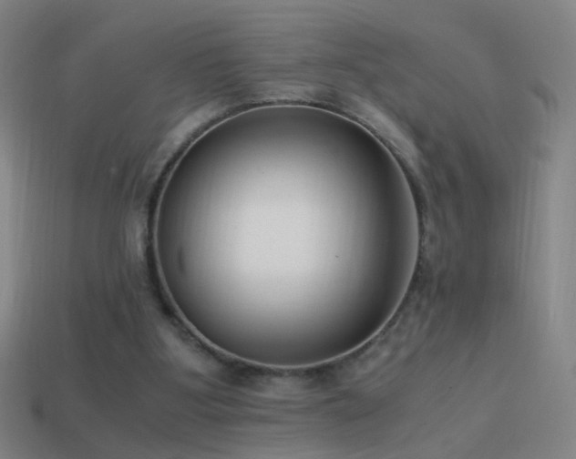 X0000114410107200910161215
