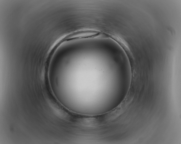X0000114410108200910161215