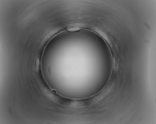X0000114410109200910161215