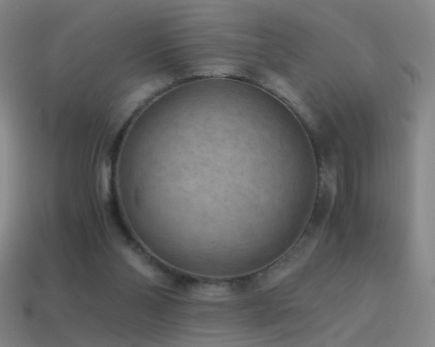 X0000114410110200910161215