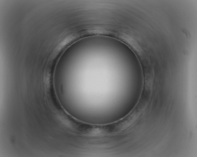 X0000114410111200910161215