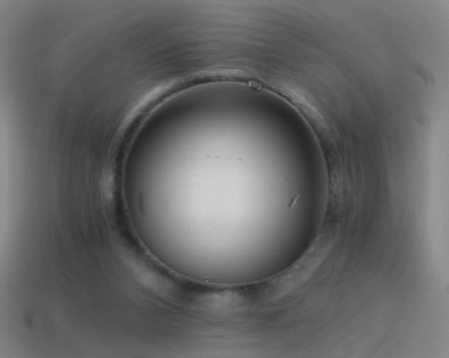 X0000114410112200910161215