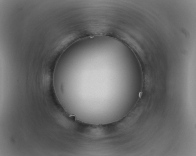 X0000114410113200910161215